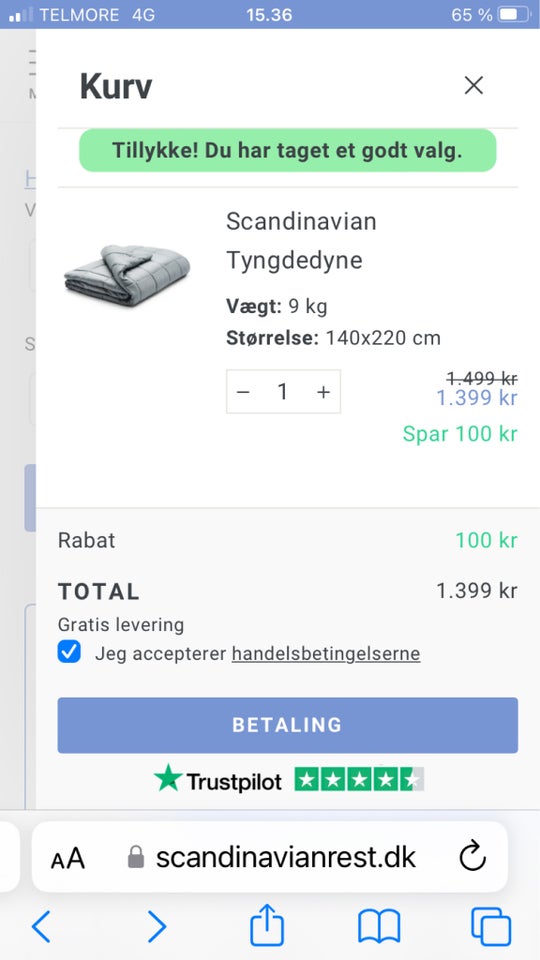 Dyne Scandinavian Rest