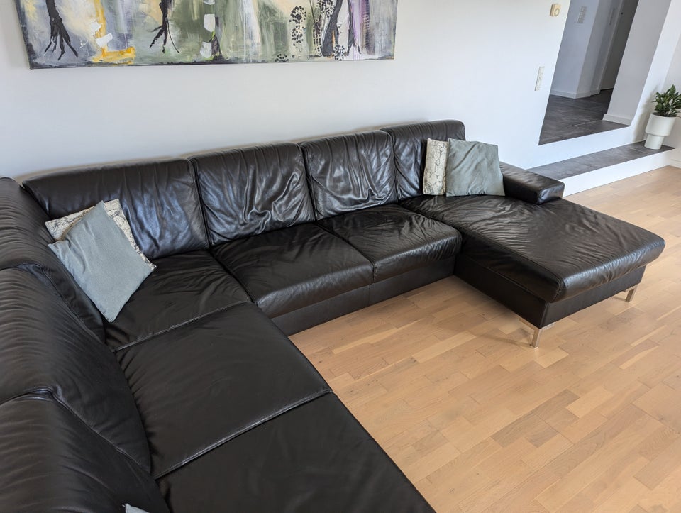 U-sofa, læder, 6 pers.