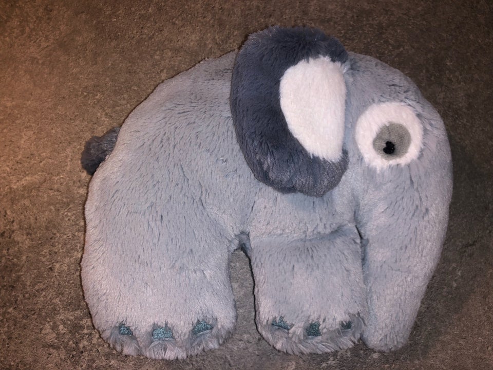 Elefant, SEBRA