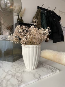 Vase blomster tørrede blomster