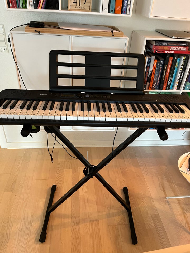 Piano, Casio Celviano, Casiotone