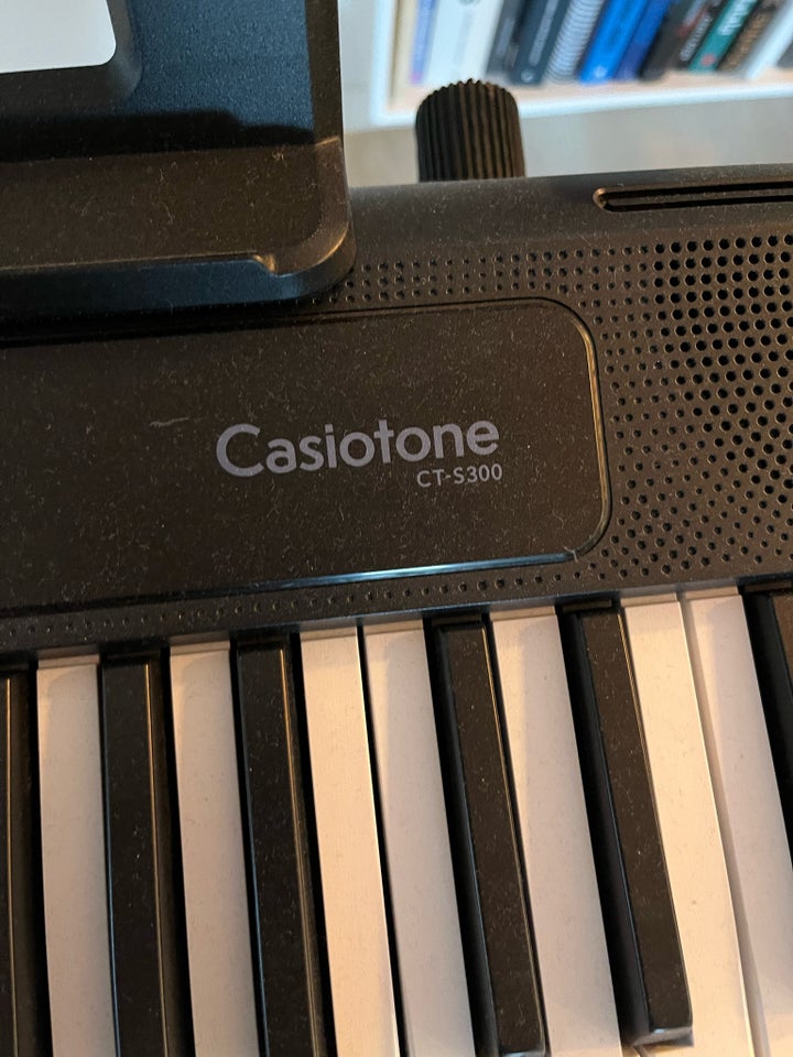 Piano, Casio Celviano, Casiotone