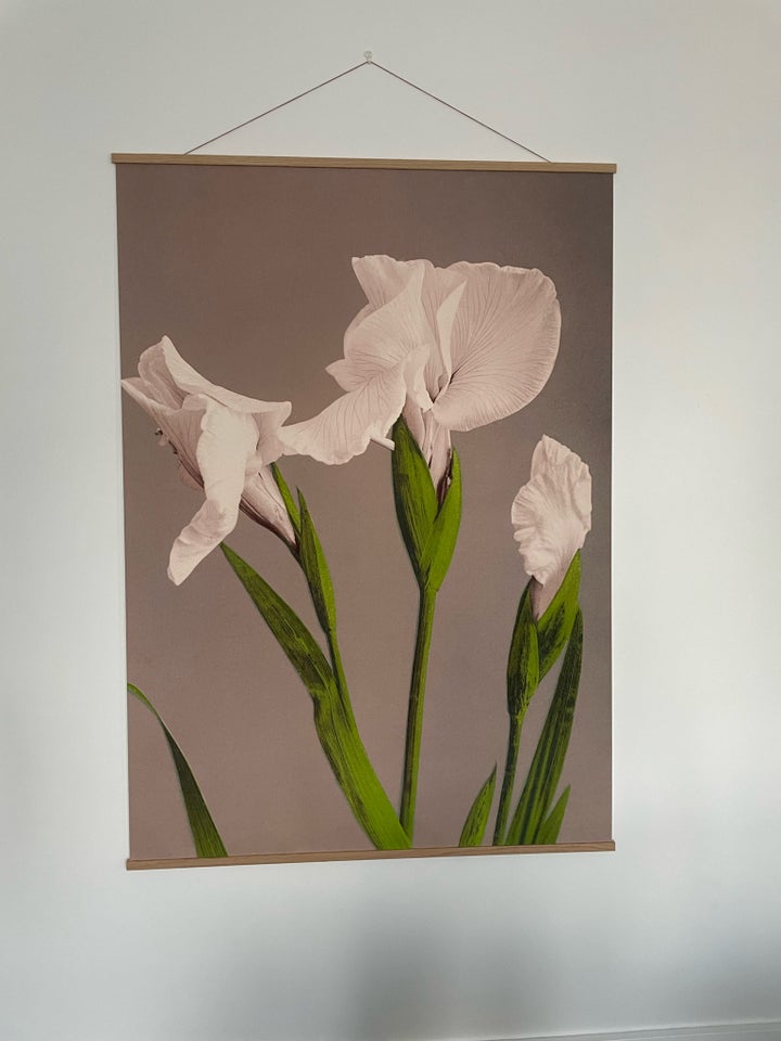 Plakat, motiv: Blomster