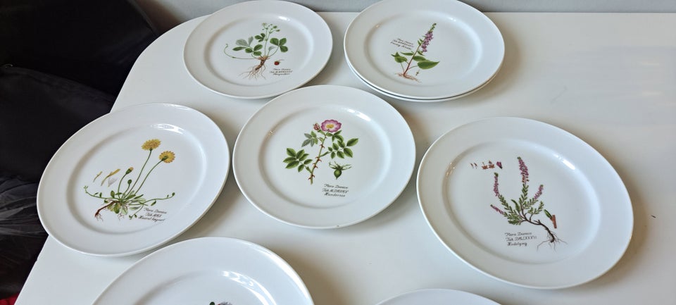 Porcelæn Frokost tallerkener