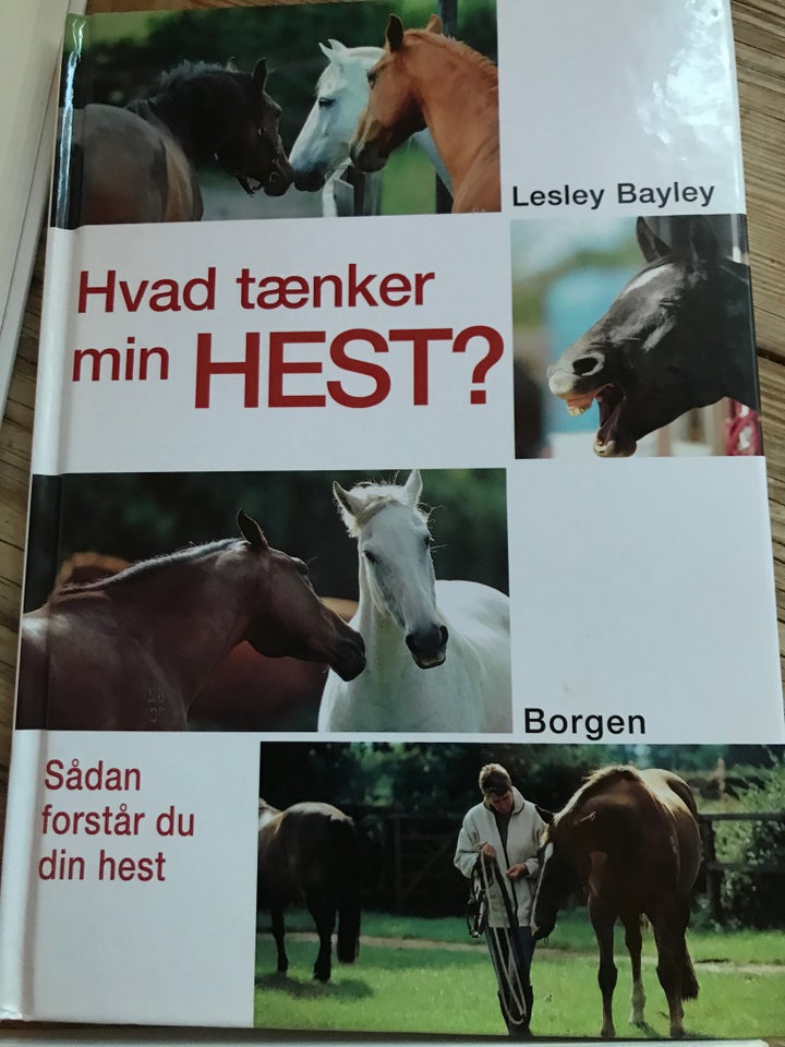 Hvad tænker din hest, emne: dyr