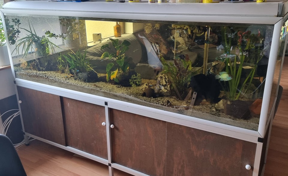 Akvarium, 720 liter, b: 200 d: 60 h: