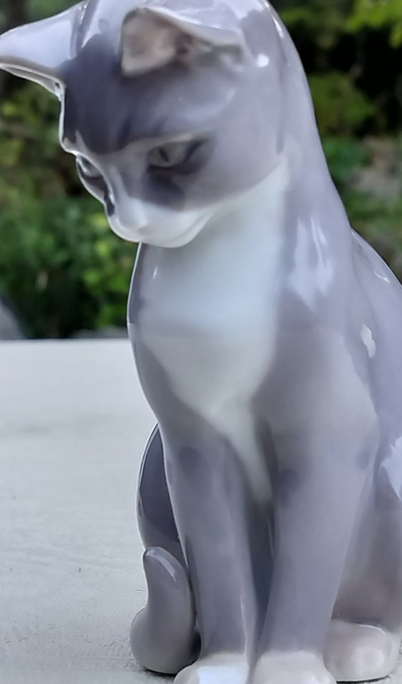 Porcelæns kat BG