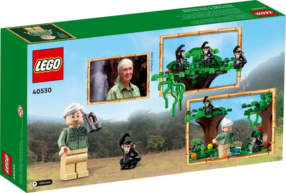 Lego Exclusives 40530 Jane