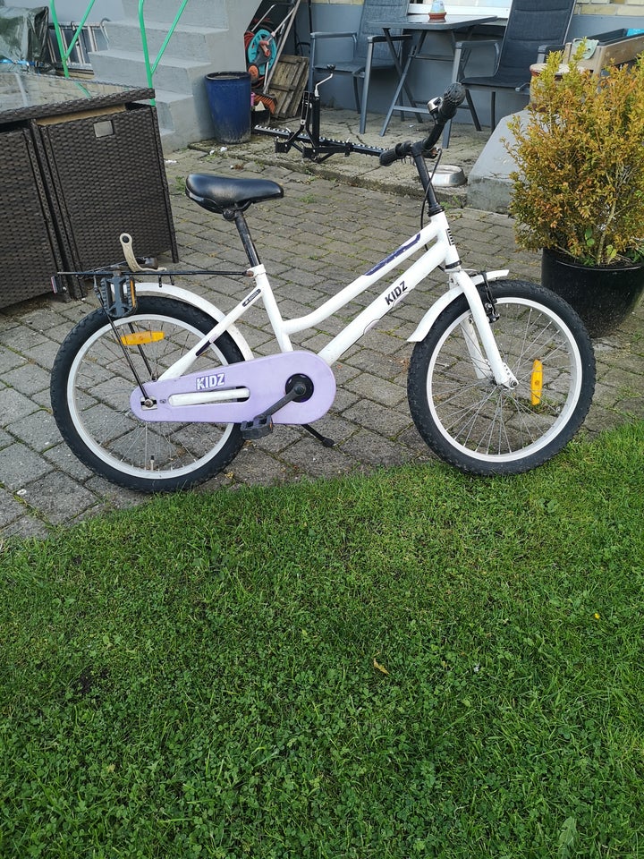 Pigecykel, anden type