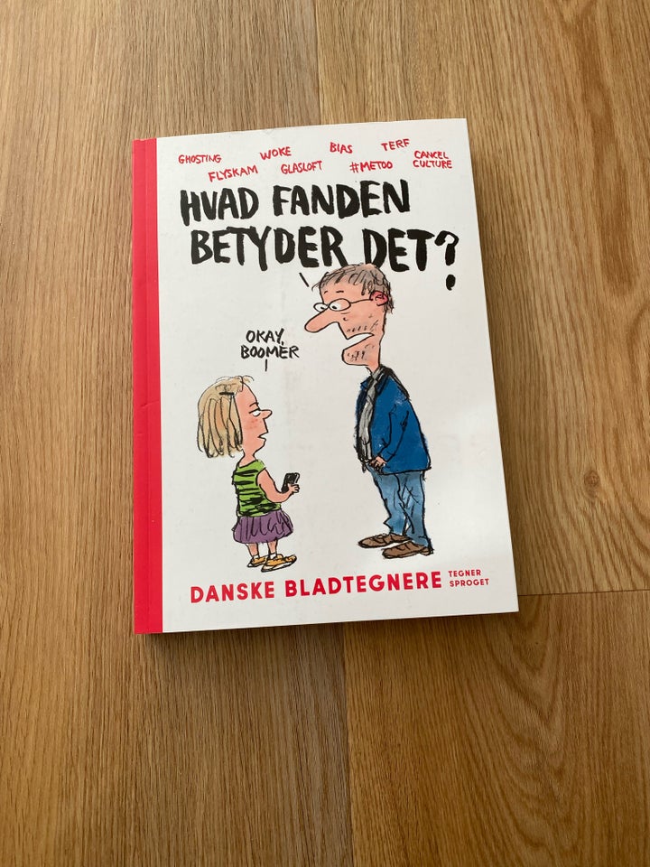 Hvad fanden betyder det, anden bog