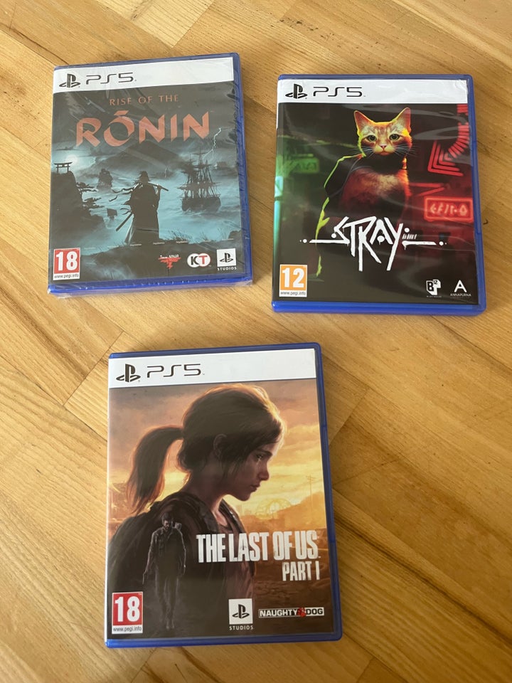 RISE OF THE RONIN STRAY  LAST OF US