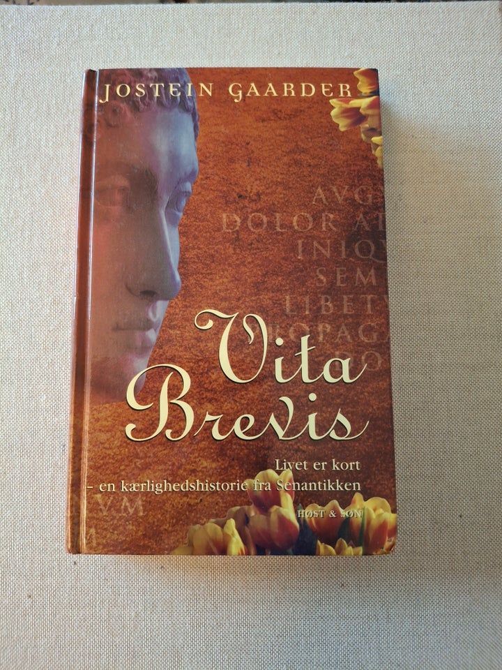 Vita brevis, Jostein Gaarder,