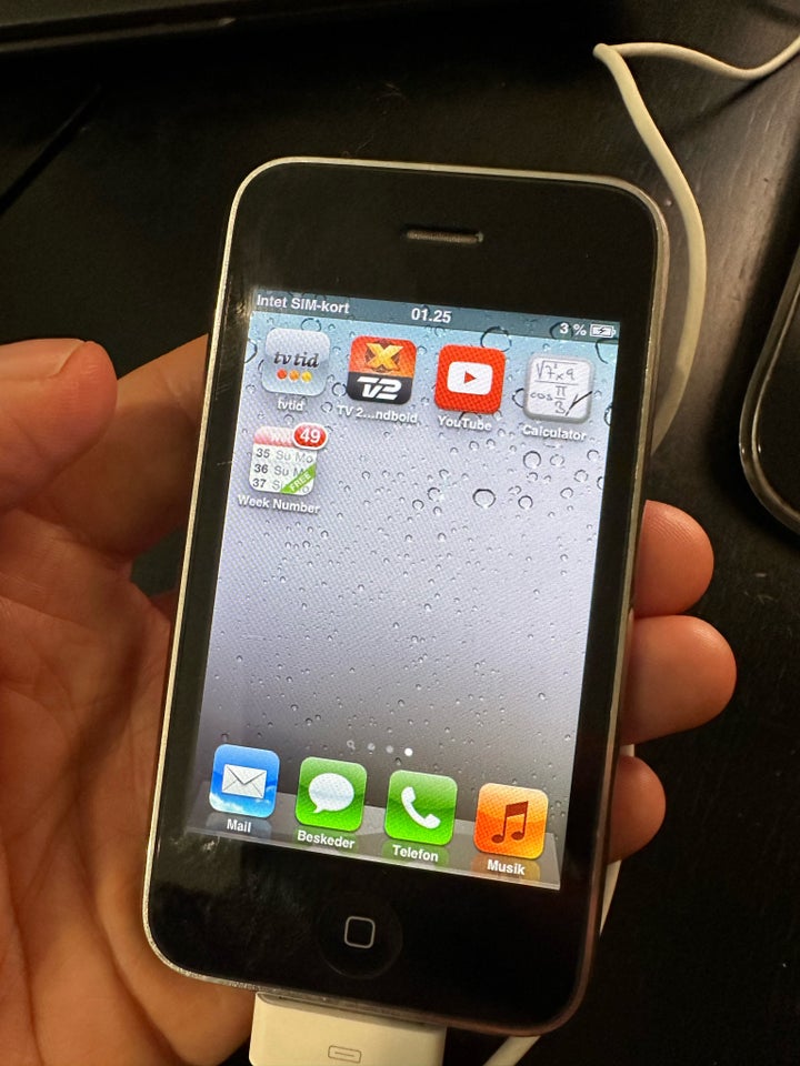 iPhone 3GS 8 GB sort