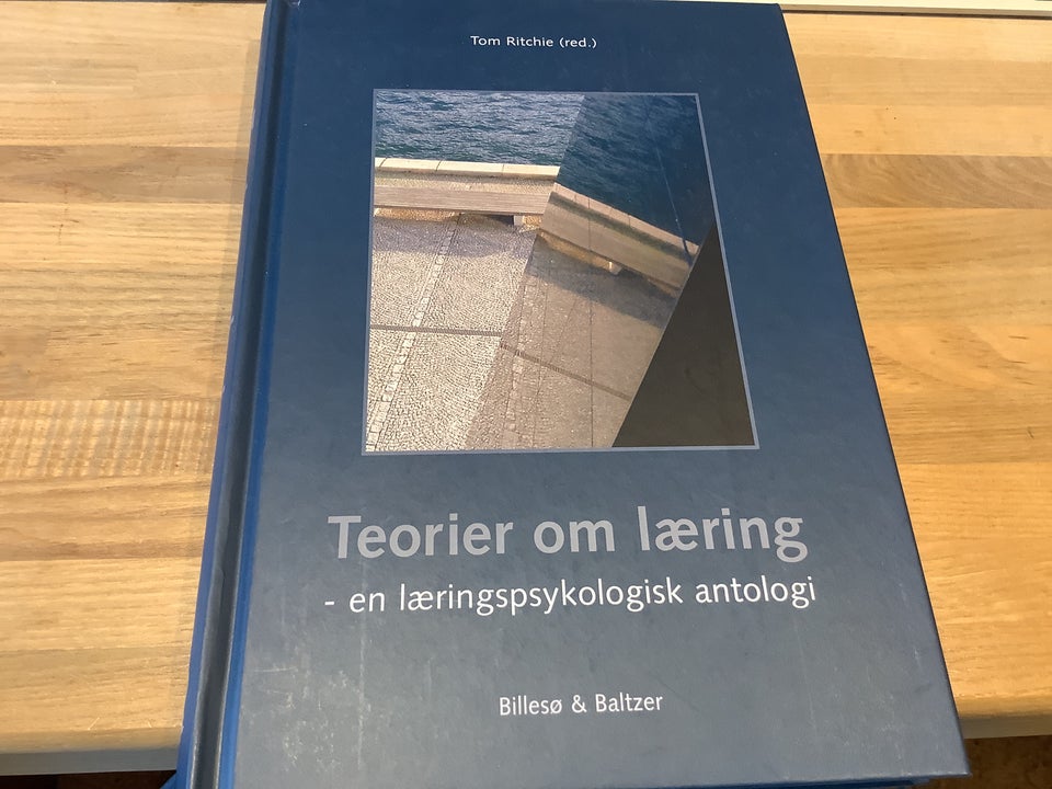 Teorier om læring, Billesø og