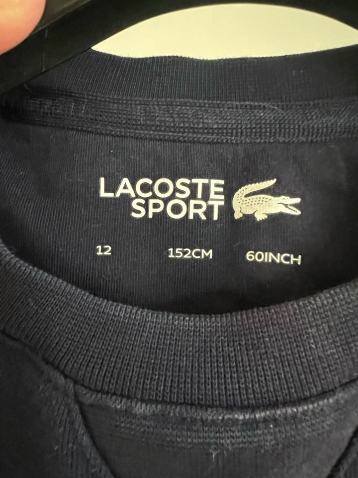 Sweatshirt, Sweatshirt , Lacoste