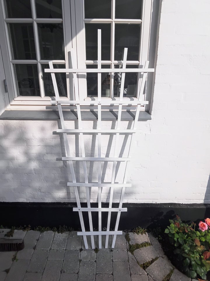 ESPALIER HVIDMALET TRÆ