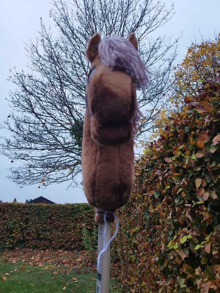 Kæphest, Hobbyhorse