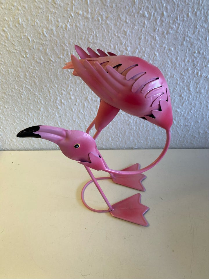 Stor fin Flamingofugl