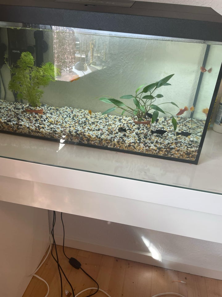 Akvarium, 54 liter