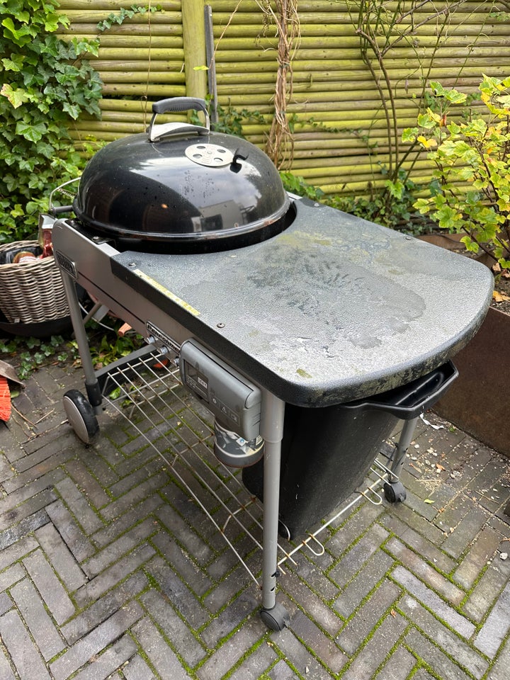 Weber Performer