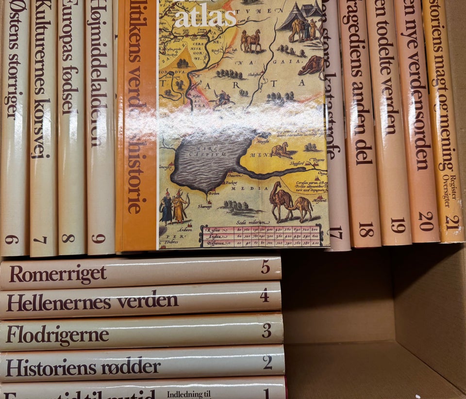 Verdenshistorie, emne: historie