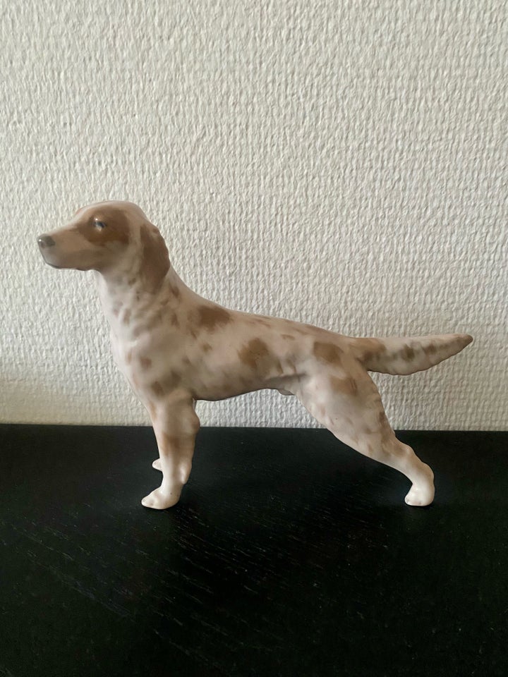 Porcelæn Setter Royal