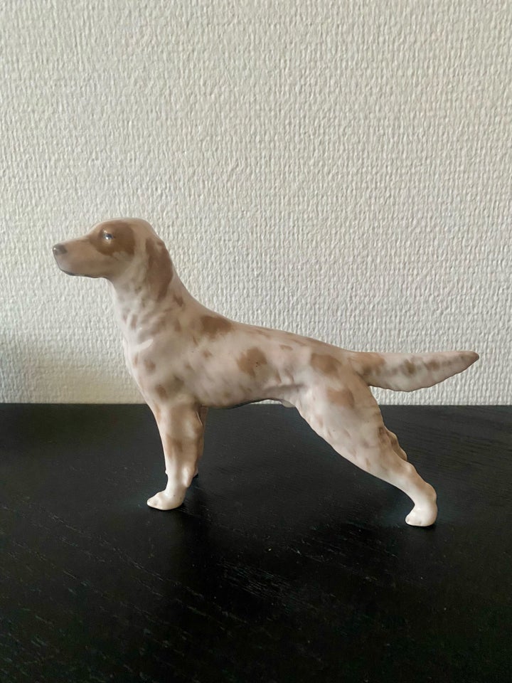 Porcelæn Setter Royal