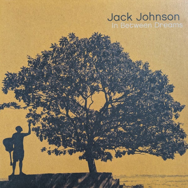 Jack Johnson : CD : In Between