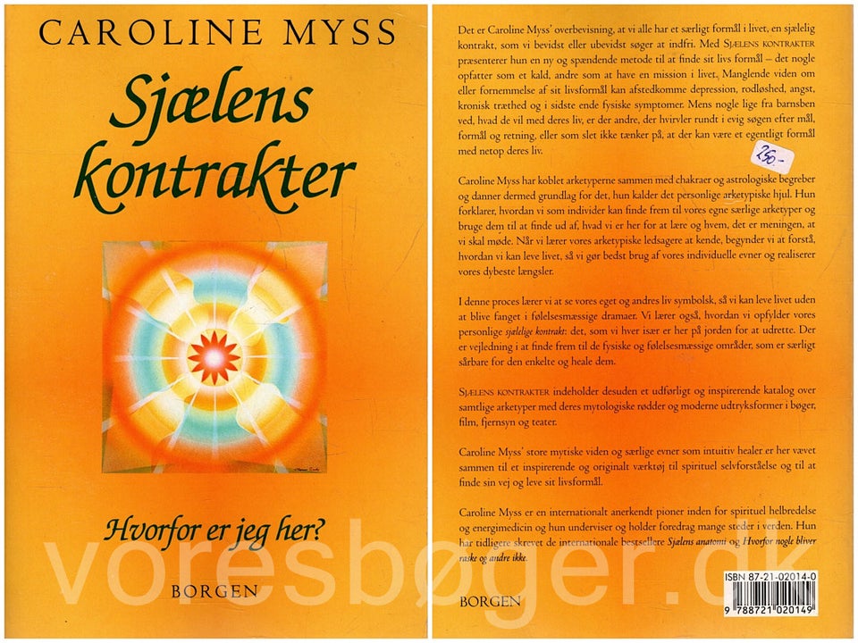 Sjælens karakter, Caroline Myss,