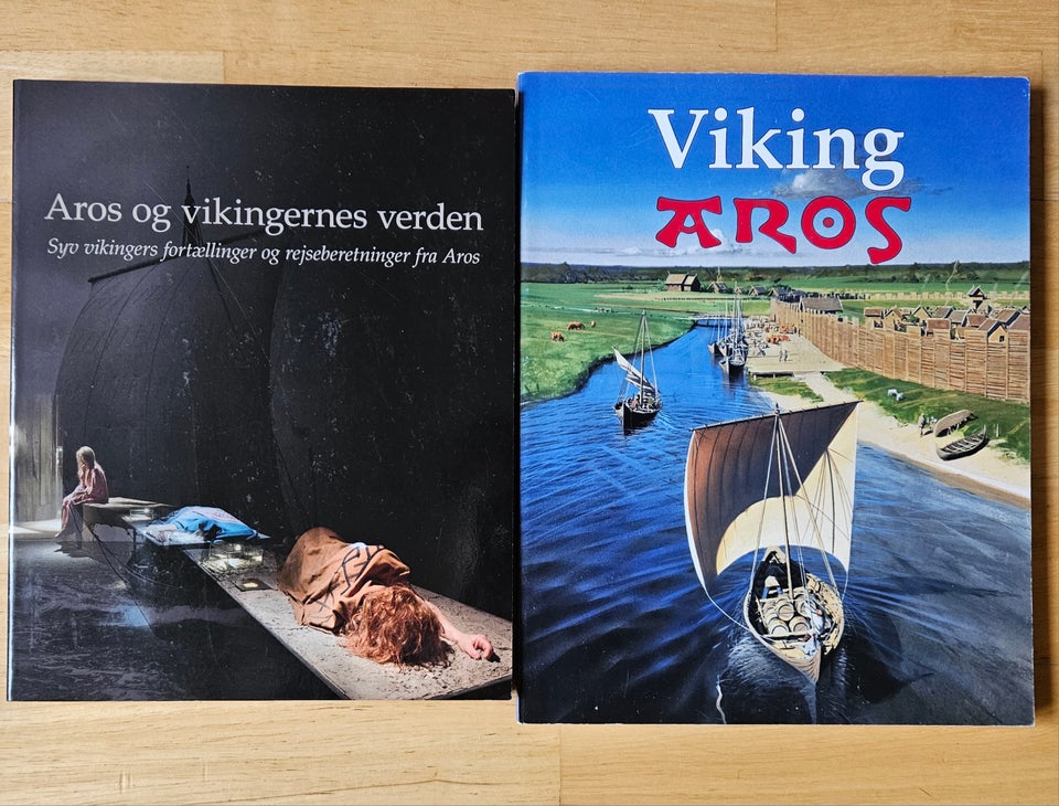 Aros og vikingetiden, emne: