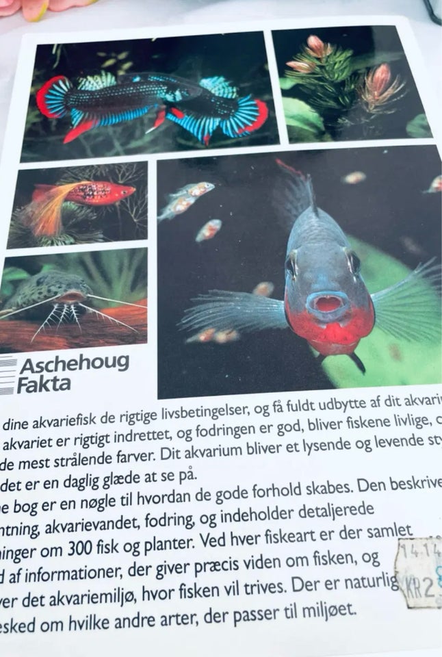 Akvarie håndbog sæt, emne: hobby og