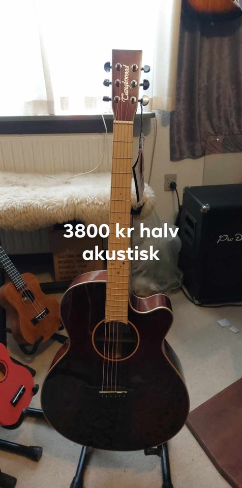 Halvakustisk Tanglewood