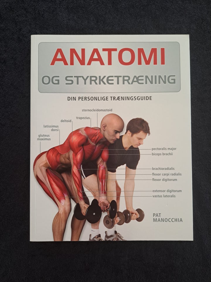 Anatomi og styrketræning Pat