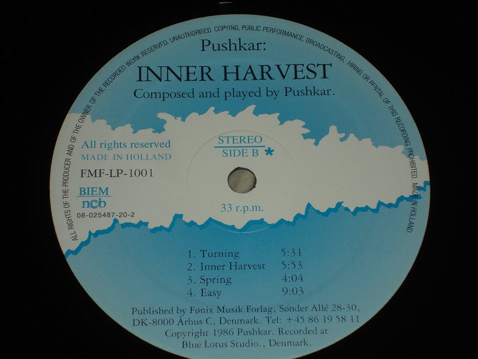 LP, Pushkar ( Ambient - New Age ),