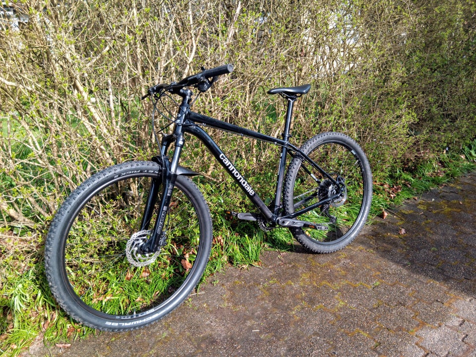 Cannondale Trail 5 Graphite