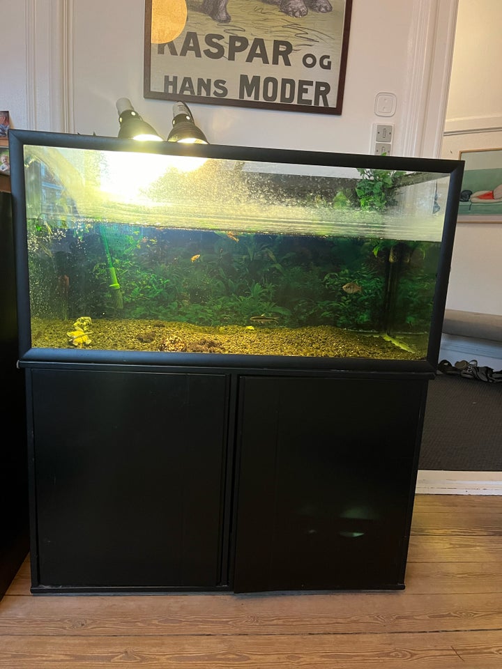 Akvarium, 200 liter, b: 100 d: 50 h: