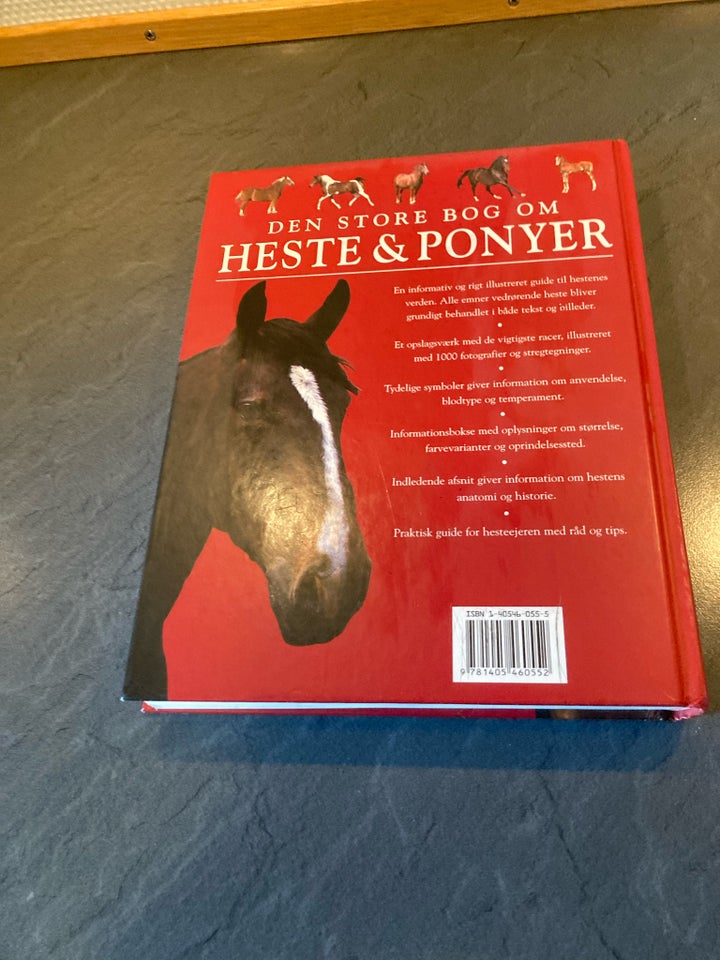 Heste  Ponyer, Tamsin Pickeral 