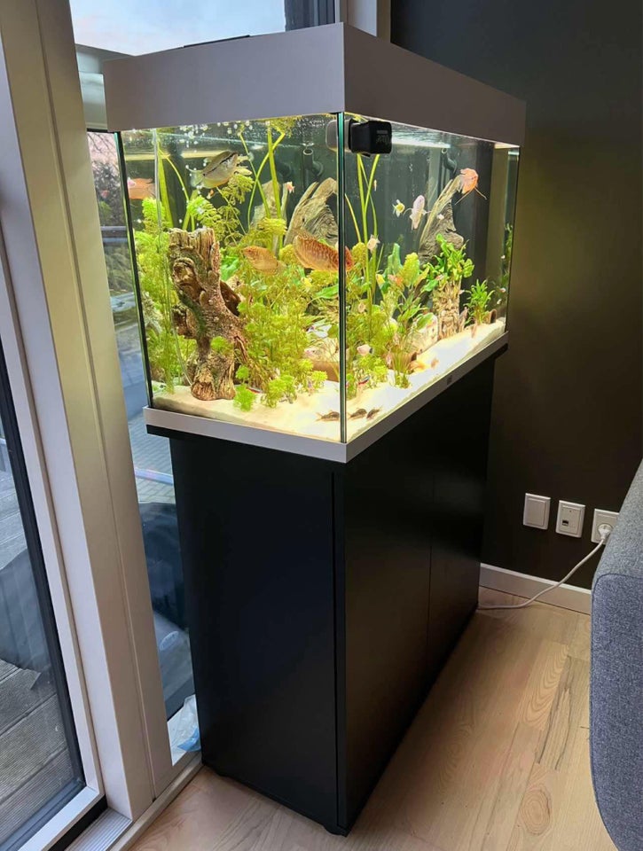 Akvarium, 125 liter