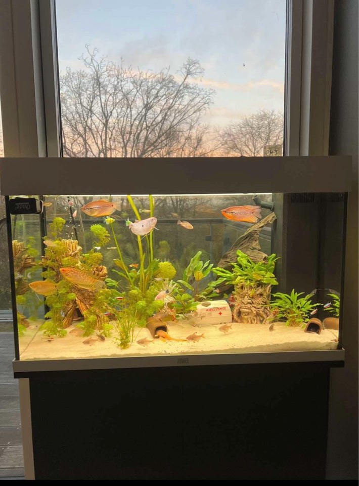 Akvarium, 125 liter