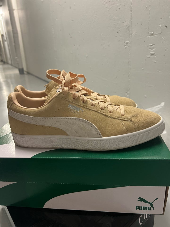 Sneakers, Puma, str. 44