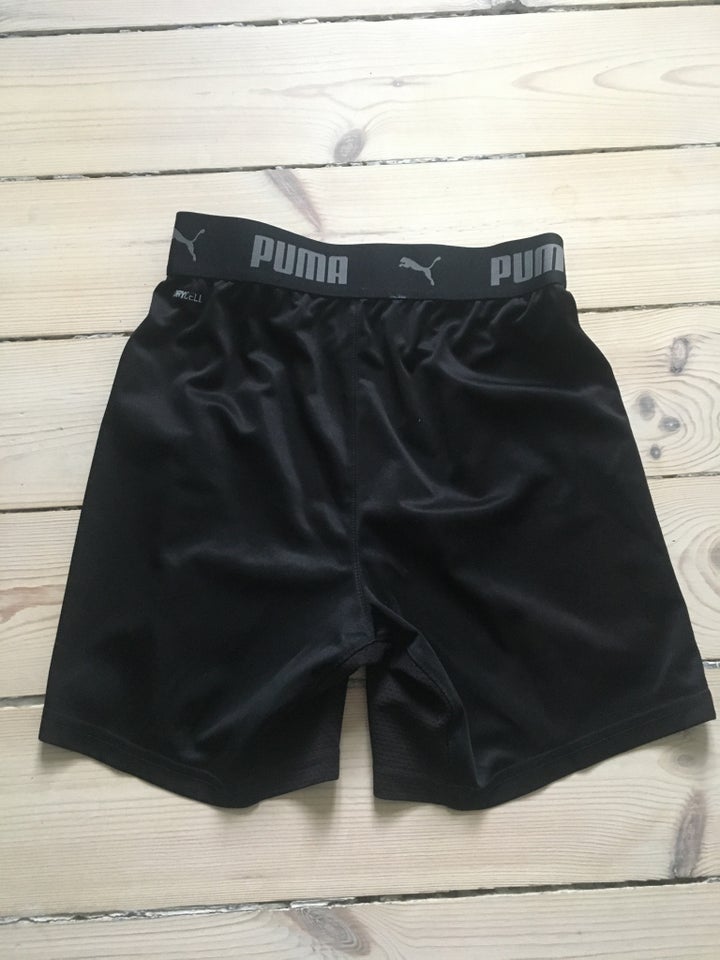 Shorts, Shorts , Puma