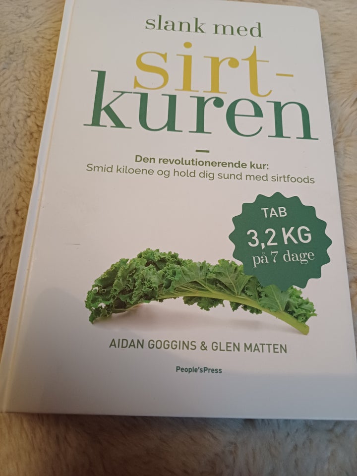 Slank med sirt-kuren, Aidan