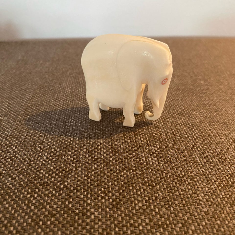 Elefant, Ukendt