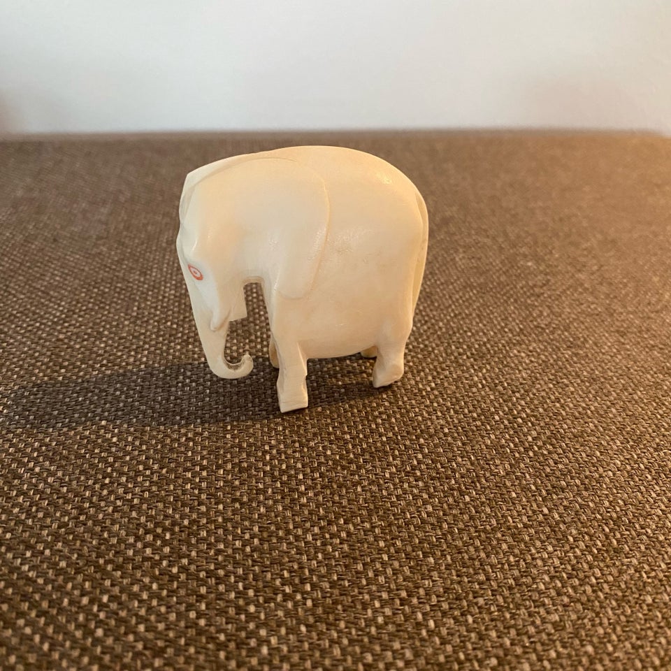 Elefant, Ukendt