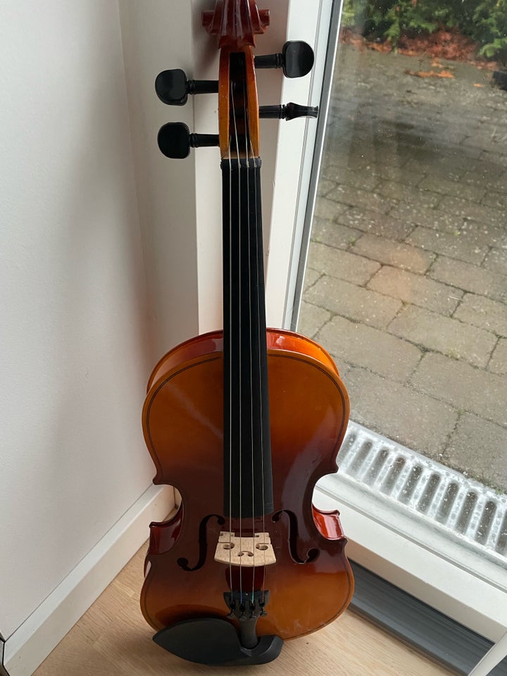 Violin