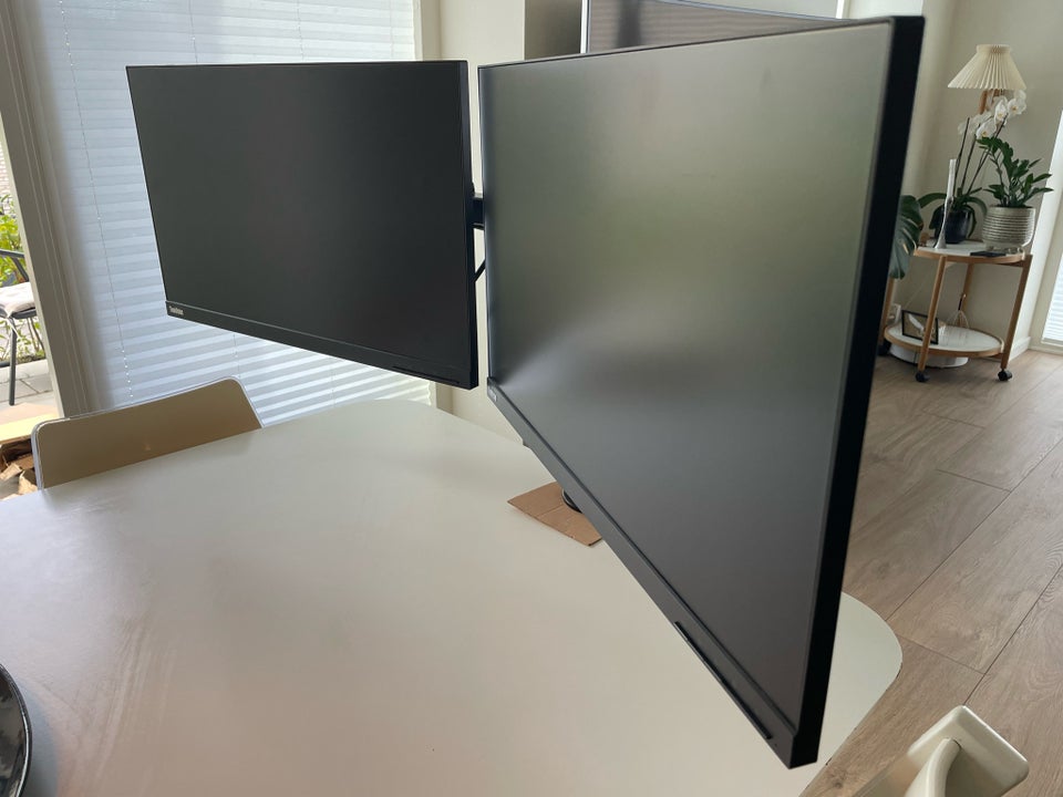 Lenovo Thinkvision fladskærm