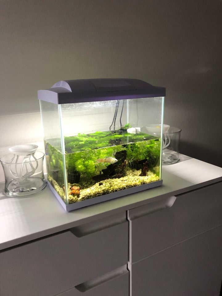 Akvarium, 40 liter, b: 25 d: 25