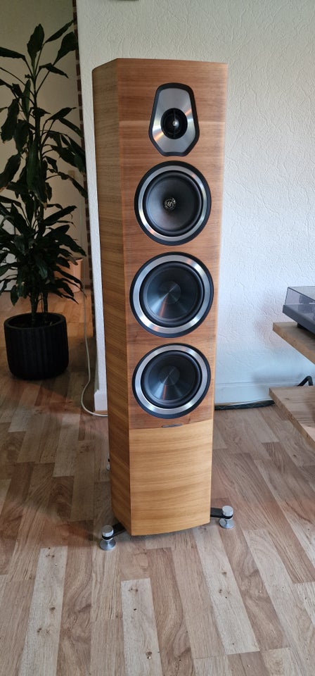 Højttaler Sonus Faber Sonetto V