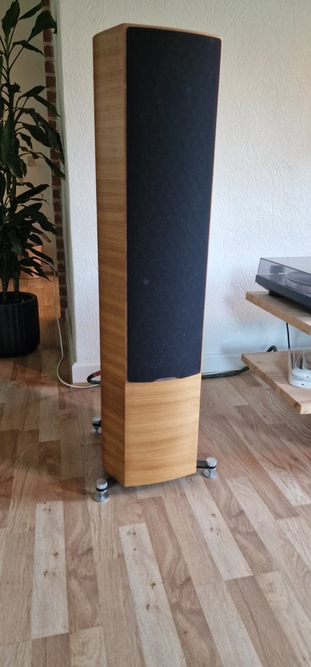 Højttaler Sonus Faber Sonetto V