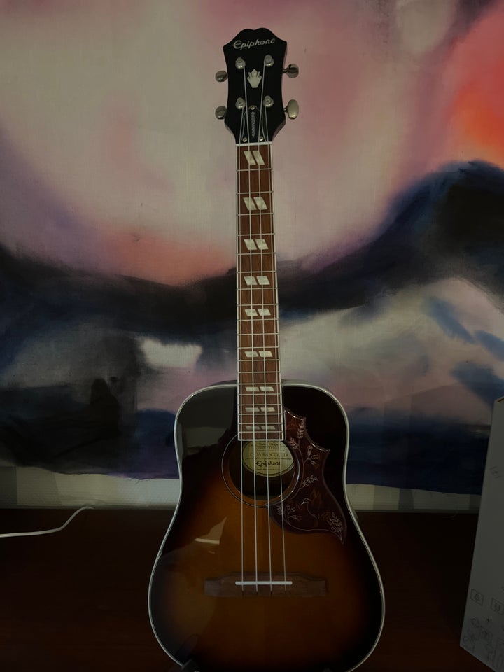 Ukulele, Epiphone Hummingbird